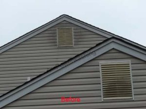 Roof Cleaning
