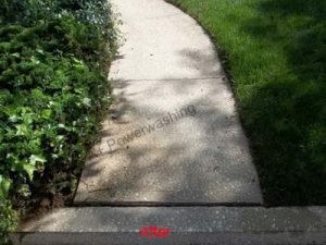 cleaning service