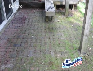 Pavers Before Power Washing