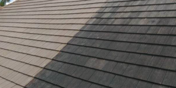 How long will a roof cleaning last?