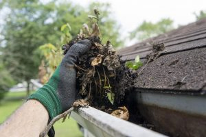 Your Guide to Gutter Cleaning like a Pro