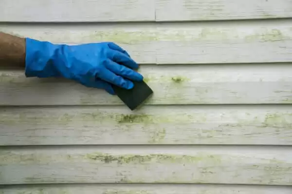 how to clean vinyl siding