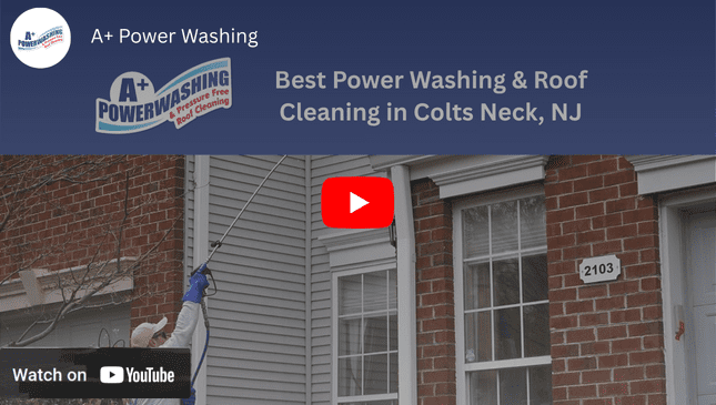 YouTube Video Colts Neck NJ