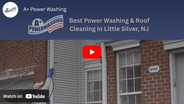 YouTube Video Little Silver NJ