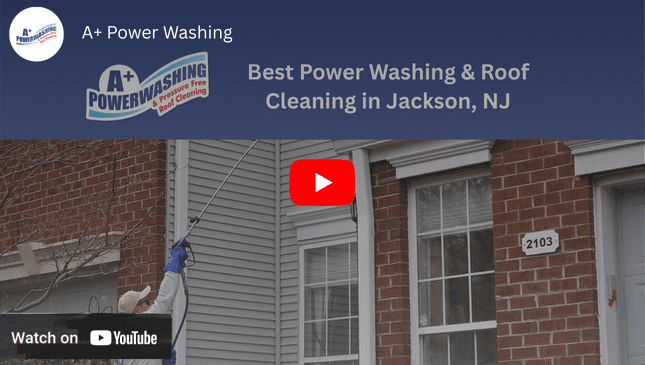 YouTube Video Jackson NJ